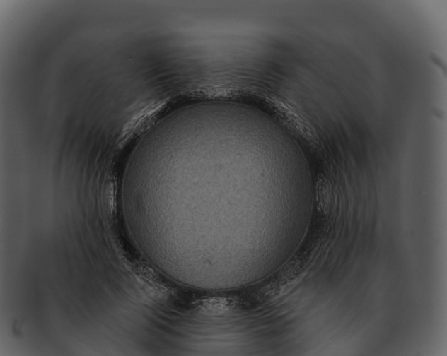 X0000092320740200710051256