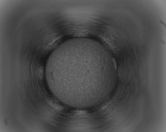 X0000092320741200710051256