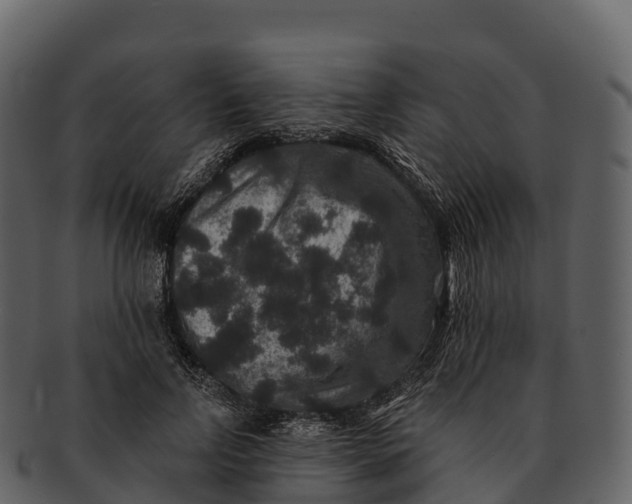 X0000092320742200710051256