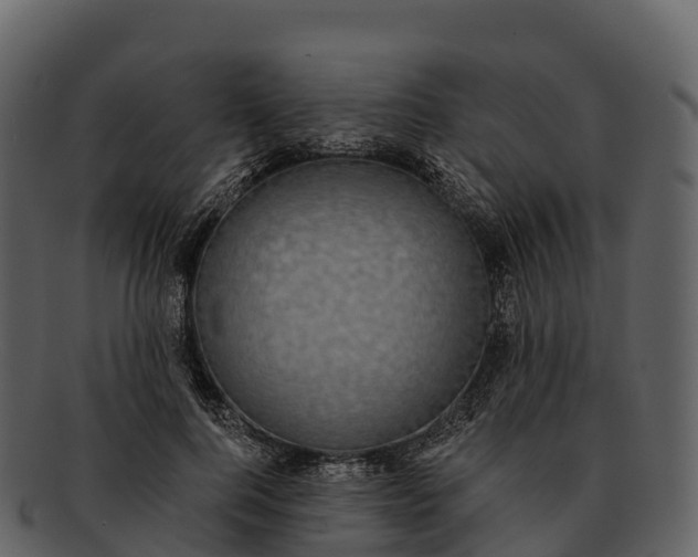 X0000092320744200710051256
