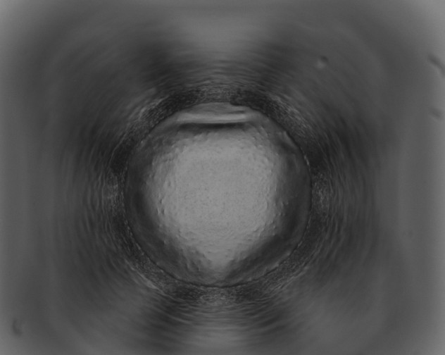 X0000092320745200710051256