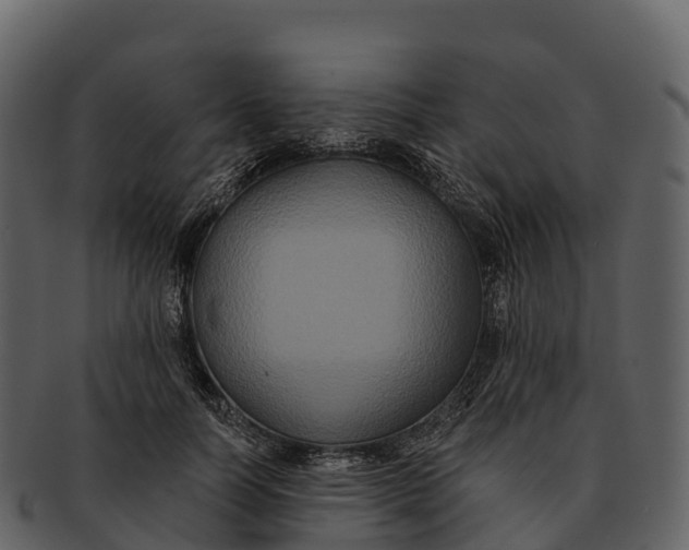 X0000092320746200710051256