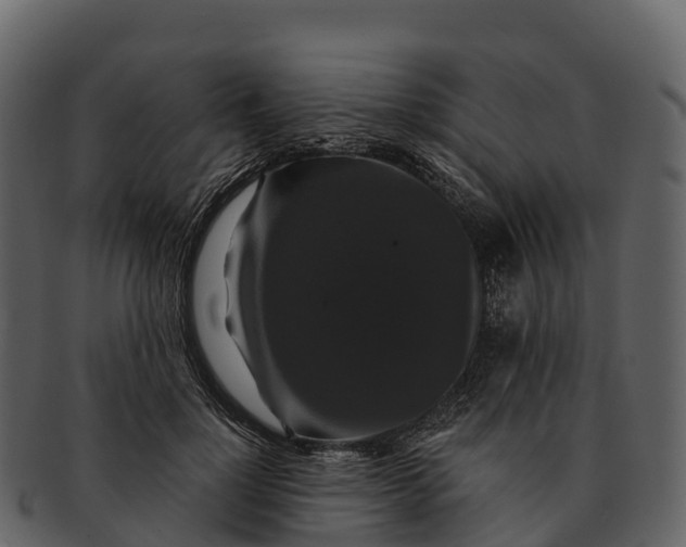 X0000092320748200710051256