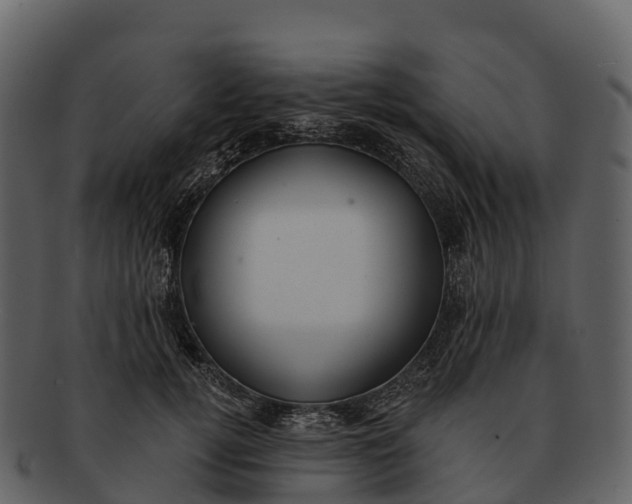 X0000092320752200710051256