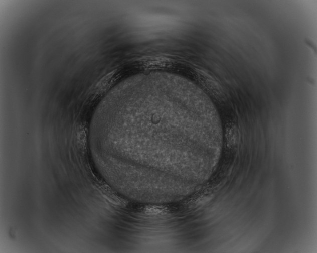 X0000092320753200710051256