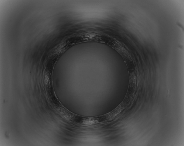 X0000092320754200710051256