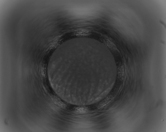X0000092320755200710051256