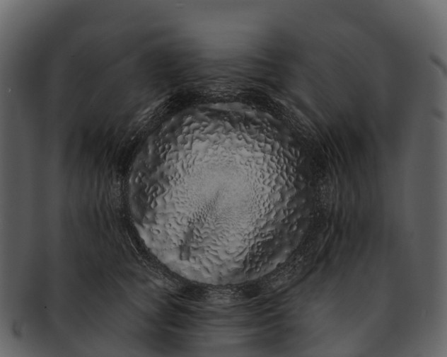 X0000092320757200710051256