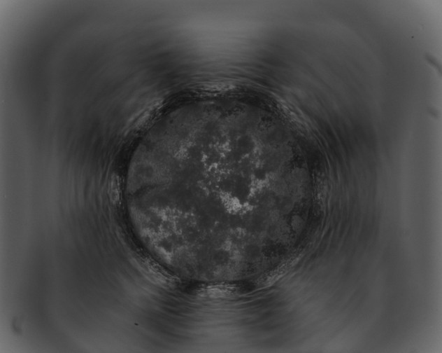 X0000092320758200710051256