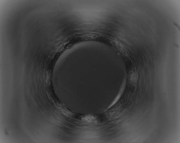 X0000092320759200710051256