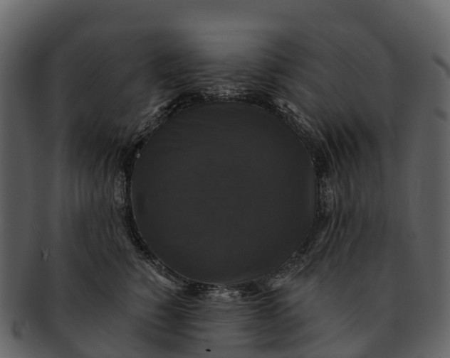 X0000092320760200710051256