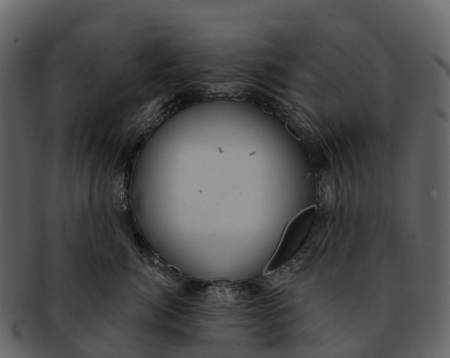 X0000092320764200710051256
