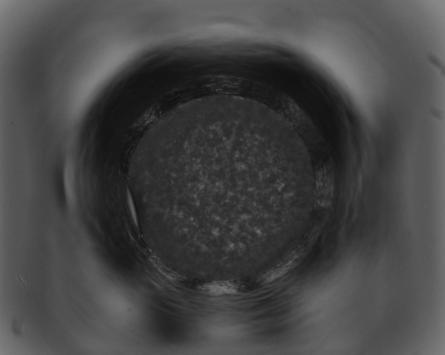 X0000092320765200710051256