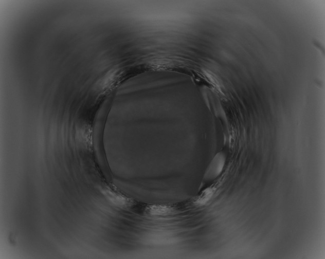 X0000092320766200710051256