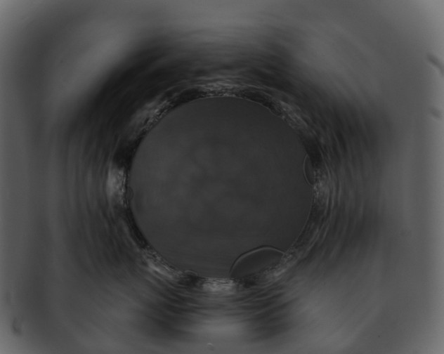 X0000092320767200710051256