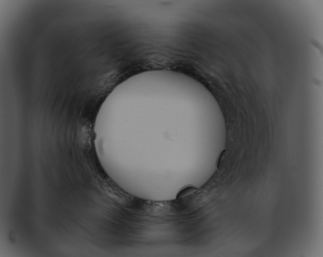 X0000092320768200710051256