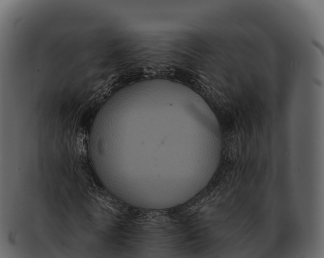 X0000092320770200710051256