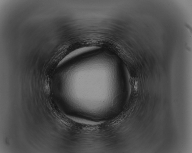 X0000092320771200710051256