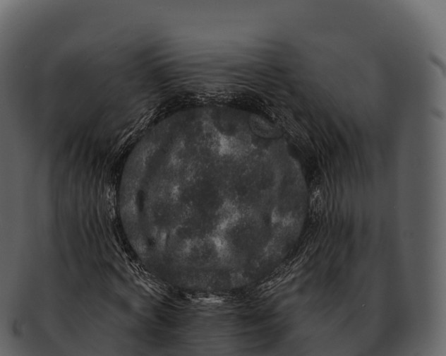 X0000092320772200710051256