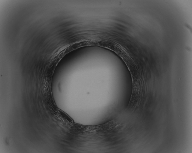 X0000092320773200710051256