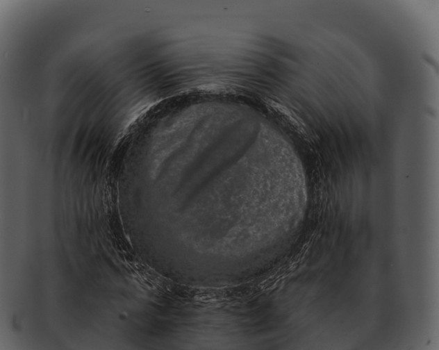 X0000092320776200710051256