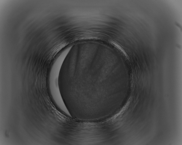 X0000092320777200710051256