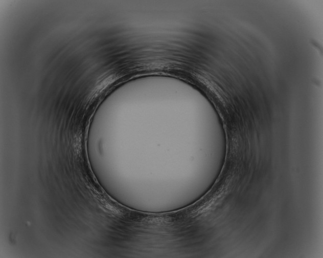 X0000092320778200710051256