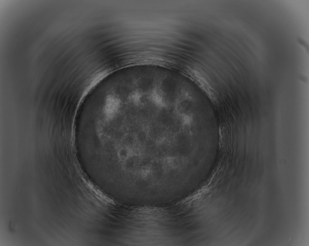 X0000092320780200710051256