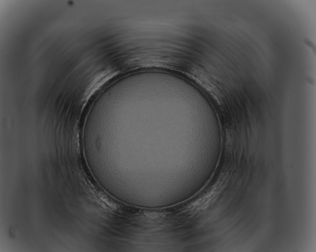 X0000092320782200710051256