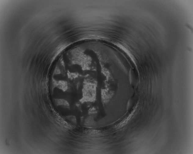 X0000092320783200710051256