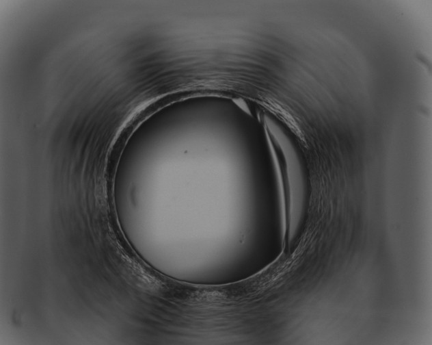 X0000092320784200710051256