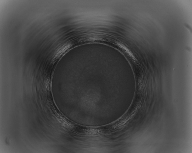 X0000092320785200710051256