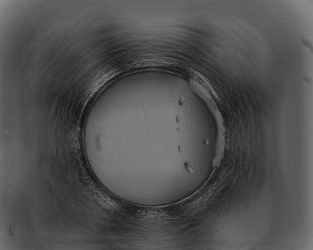X0000092320786200710051256