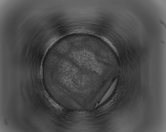 X0000092320791200710051256