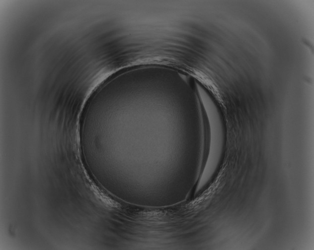 X0000092320792200710051256