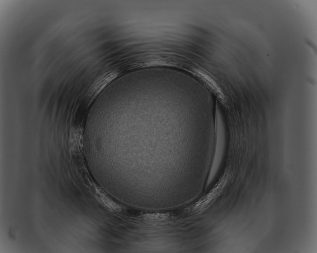 X0000092320793200710051256