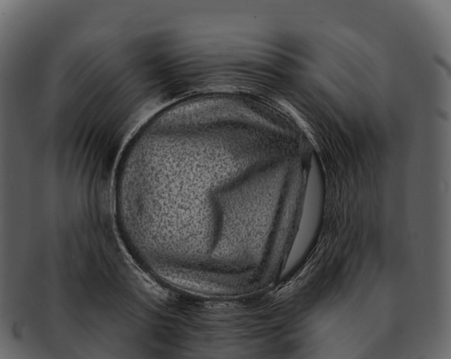 X0000092320795200710051256