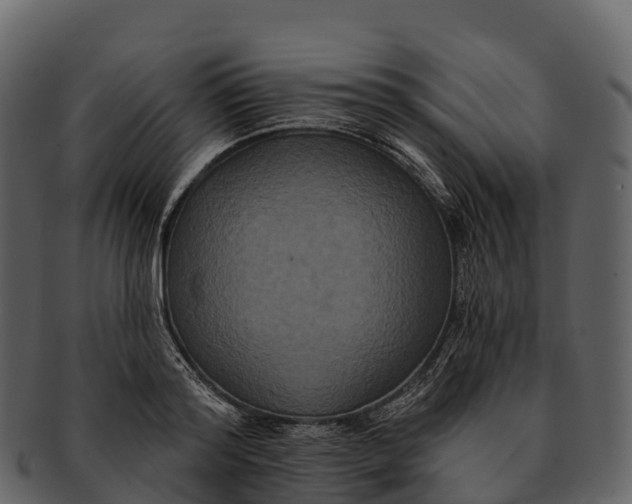X0000092320796200710051256