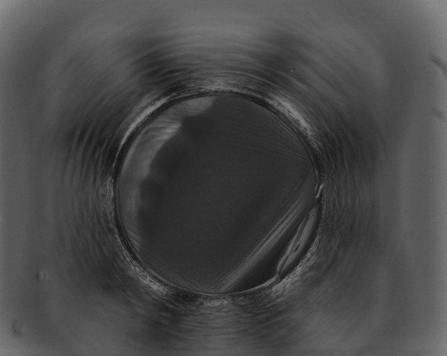 X0000092320798200710051255