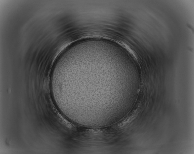 X0000092320799200710051255