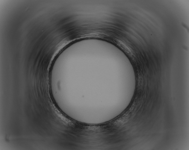 X0000092320800200710051255