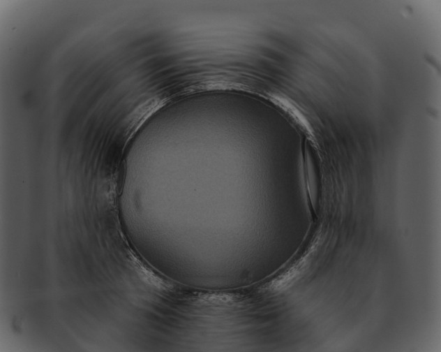 X0000092320801200710051255