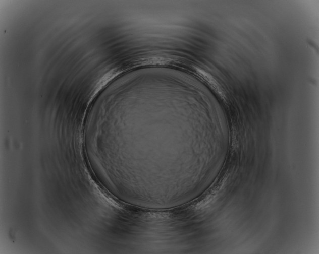 X0000092320802200710051255