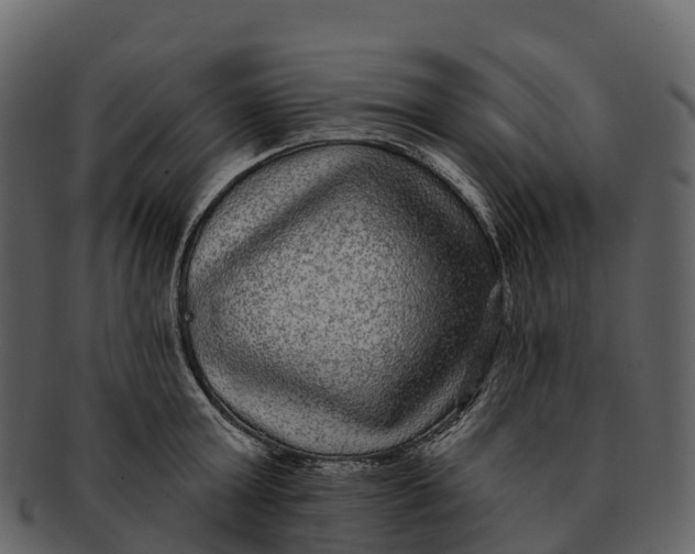 X0000092320803200710051255