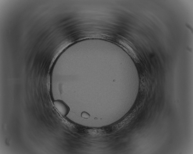 X0000092320804200710051255