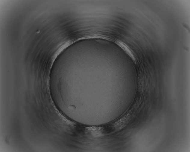 X0000092320805200710051255