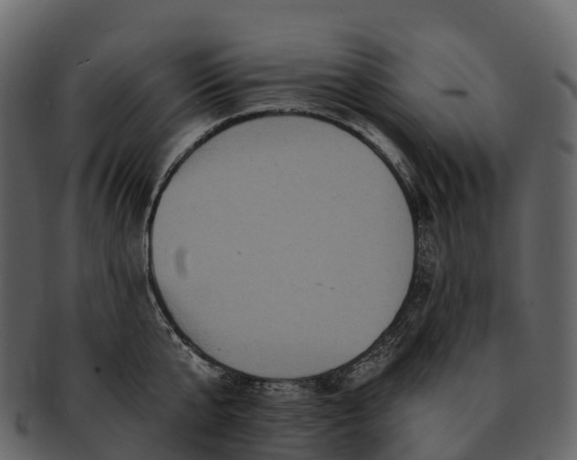 X0000092320807200710051255