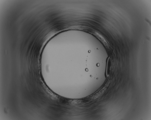 X0000092320808200710051255