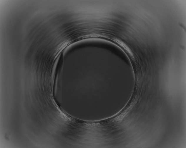 X0000092320809200710051255