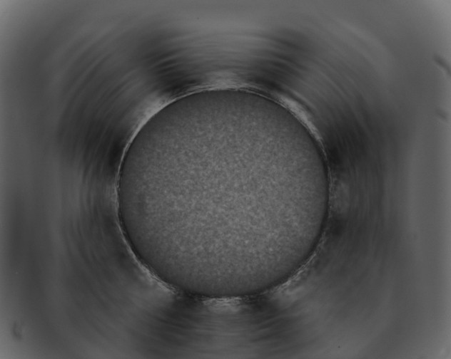 X0000092320810200710051255